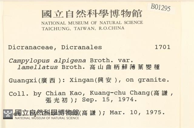 高山曲柄蘚薄葉變種藏品圖，第2張