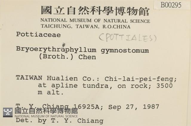 登錄號:B00000295藏品圖，第2張