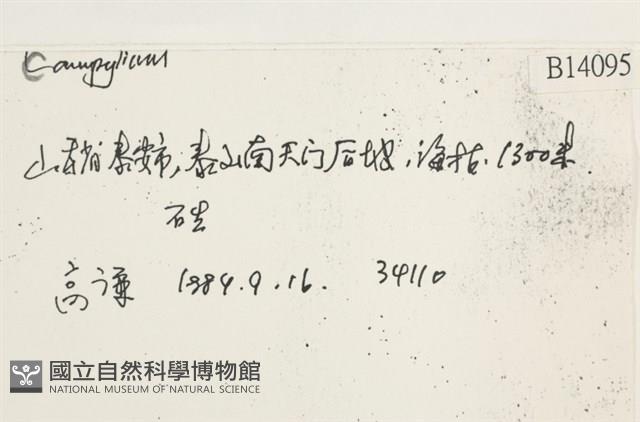 登錄號:B00014095藏品圖，第2張