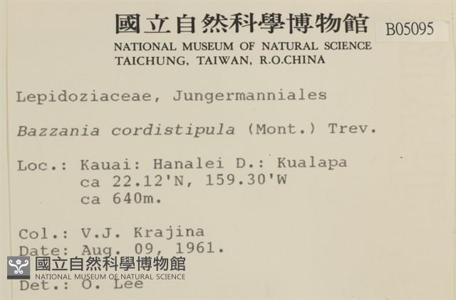 登錄號:B00005095藏品圖，第2張