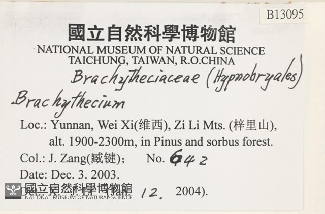 登錄號:B00013095藏品圖，第2張