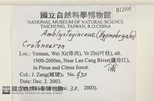 登錄號:B00012995藏品圖，第2張