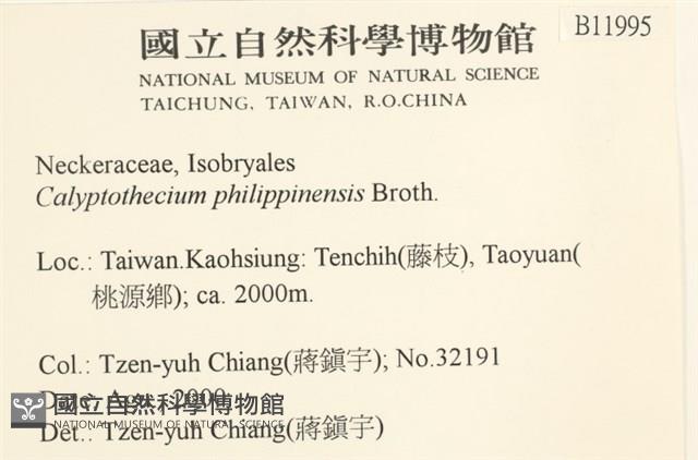 登錄號:B00011995藏品圖，第2張