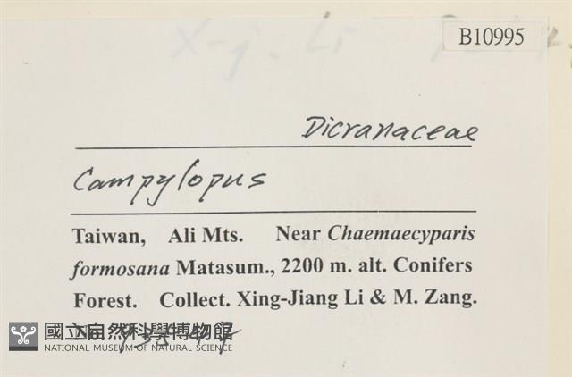 登錄號:B00010995藏品圖，第2張