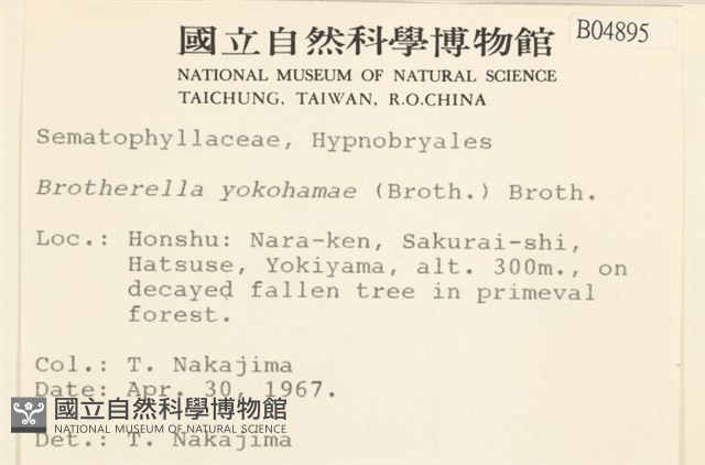 登錄號:B00004895藏品圖，第2張