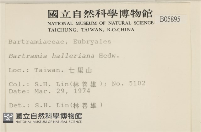 登錄號:B00005895藏品圖，第2張
