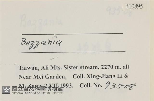 登錄號:B00010895藏品圖，第2張