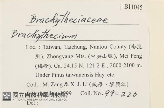 登錄號:B00011045藏品圖，第2張