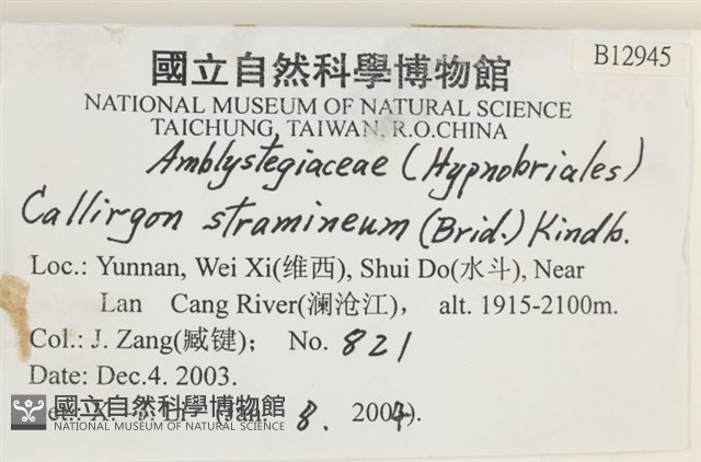 草黃濕原蘚藏品圖，第2張