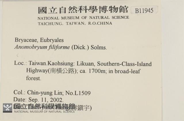 登錄號:B00011945藏品圖，第2張