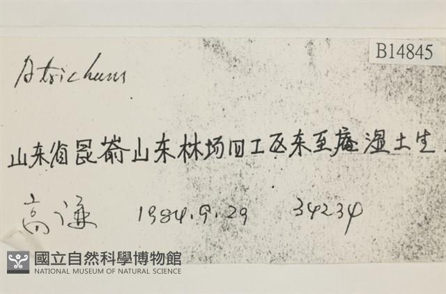 登錄號:B00014845藏品圖，第2張