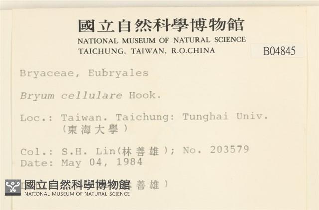 登錄號:B00004845藏品圖，第2張