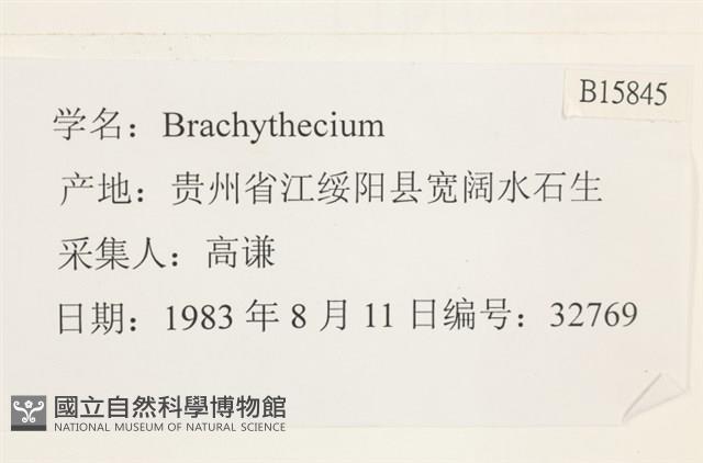 登錄號:B00015845藏品圖，第2張