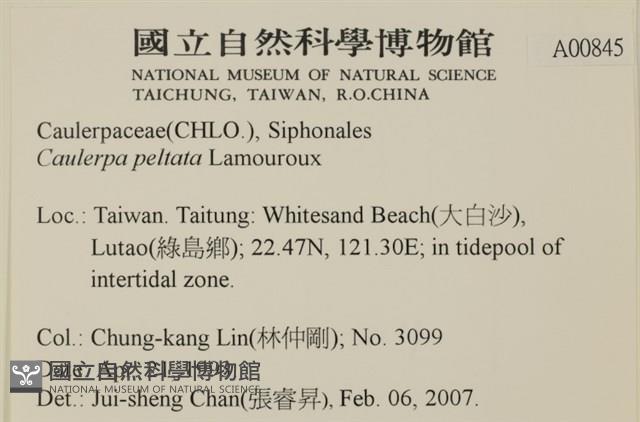 Accession Number:A00000845 Collection Image, Figure 2, Total 2 Figures