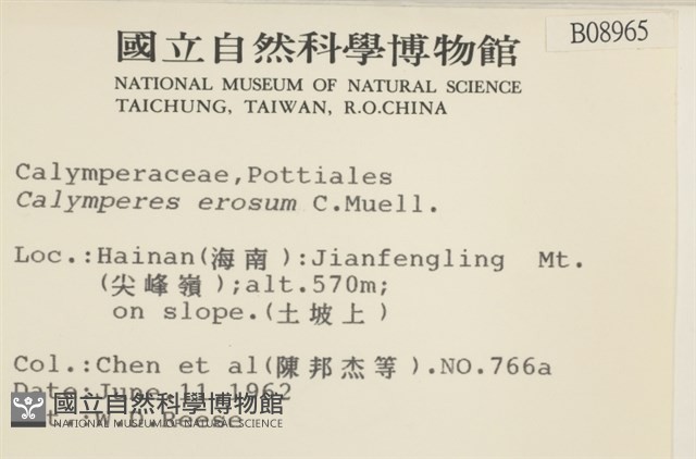 登錄號:B00008965藏品圖，第2張