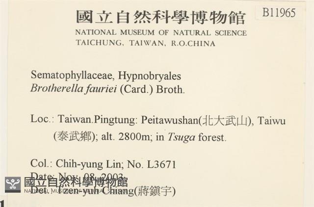 東亞小錦蘚藏品圖，第2張