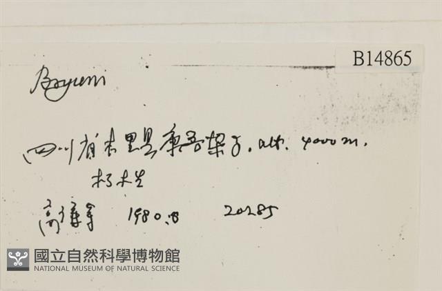 登錄號:B00014865藏品圖，第2張