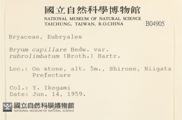 登錄號:B00004905藏品圖，第2張