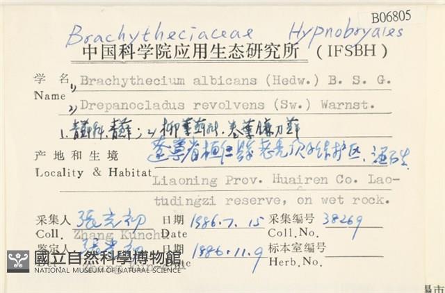 白青蘚藏品圖，第2張