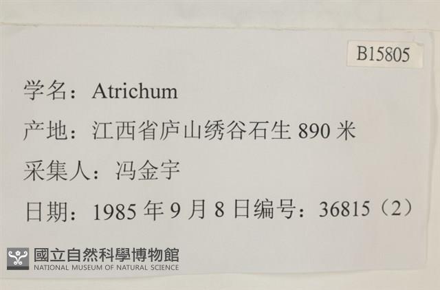 登錄號:B00015805藏品圖，第2張