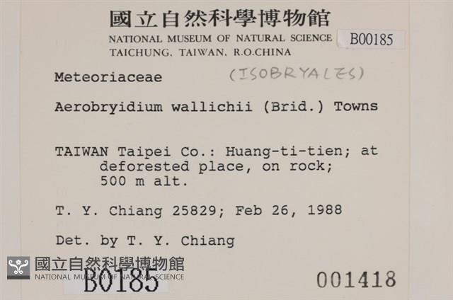 登錄號:B00000185藏品圖，第2張