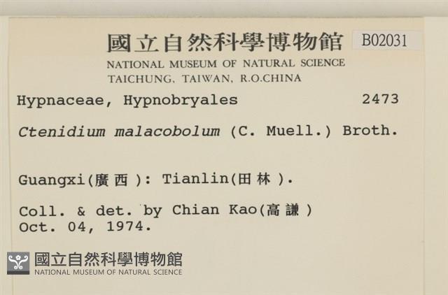 登錄號:B00002031藏品圖，第2張