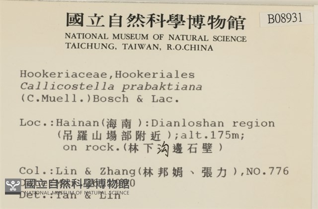登錄號:B00008931藏品圖，第2張