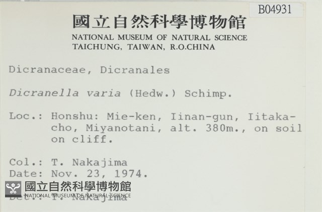 登錄號:B00004931藏品圖，第2張