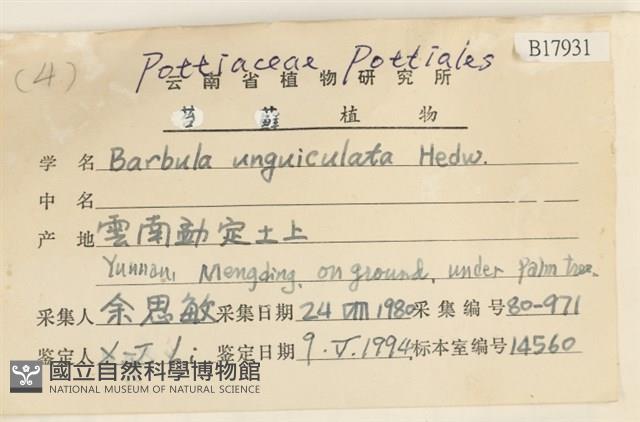 扭口蘚藏品圖，第2張