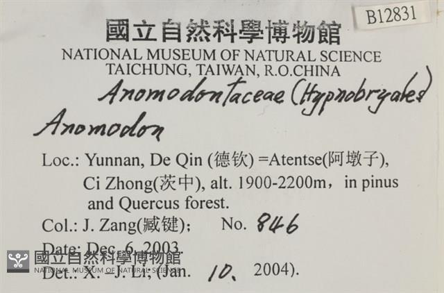 登錄號:B00012831藏品圖，第2張