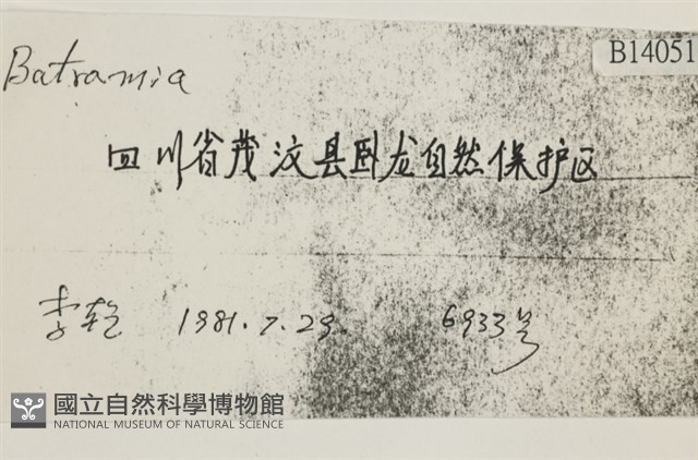 登錄號:B00014051藏品圖，第2張