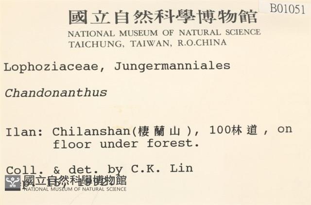 登錄號:B00001051藏品圖，第2張