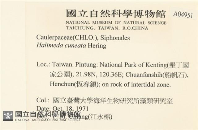 登錄號:A00004951藏品圖，第2張