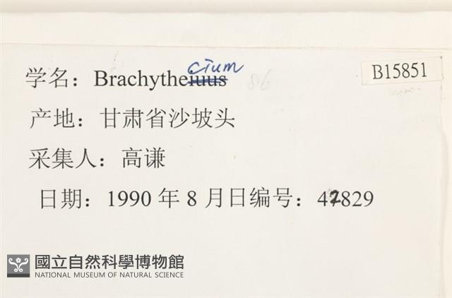 登錄號:B00015851藏品圖，第2張