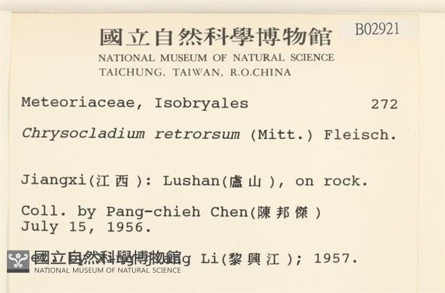 登錄號:B00002921藏品圖，第2張