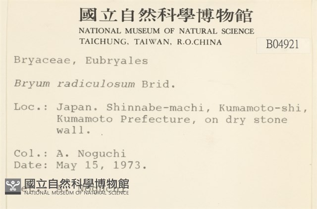 登錄號:B00004921藏品圖，第2張