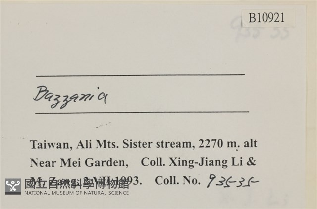 登錄號:B00010921藏品圖，第2張