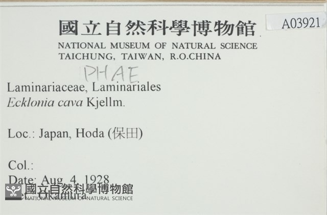 登錄號:A00003921藏品圖，第2張