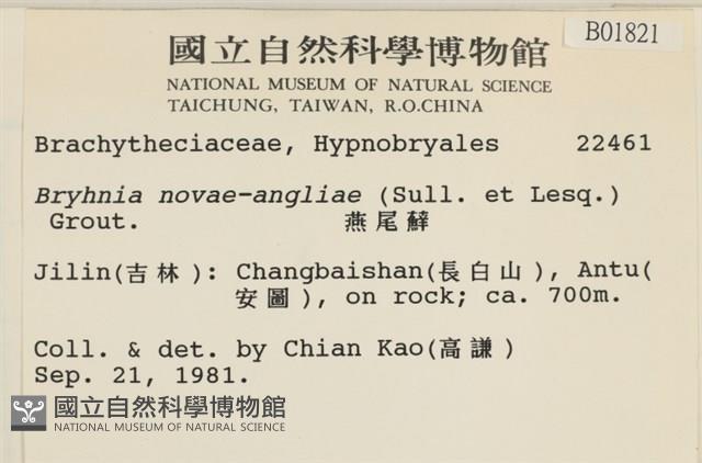 燕尾蘚藏品圖，第2張