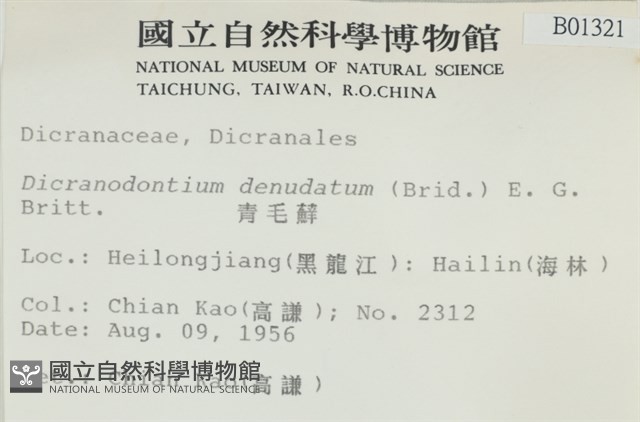 青毛苔藏品圖，第2張