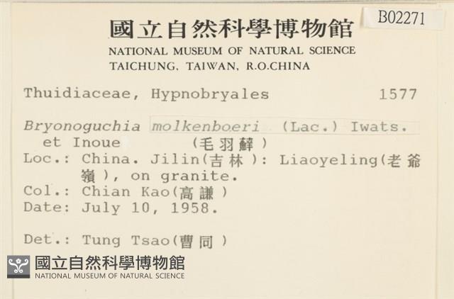 毛羽蘚藏品圖，第2張