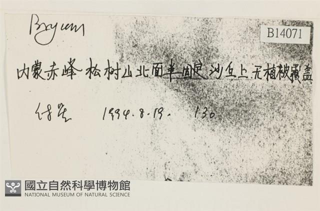 登錄號:B00014071藏品圖，第2張