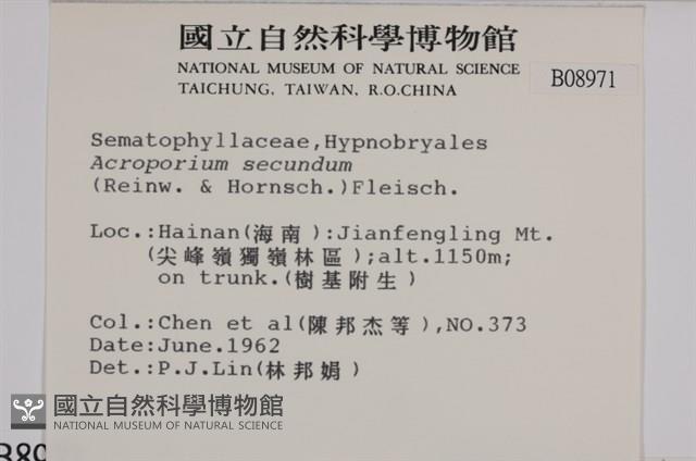 登錄號:B00008971藏品圖，第2張