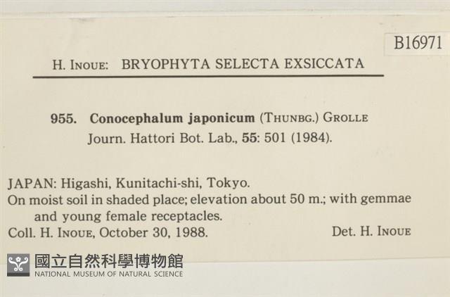 Accession Number:B00016971 Collection Image, Figure 2, Total 2 Figures