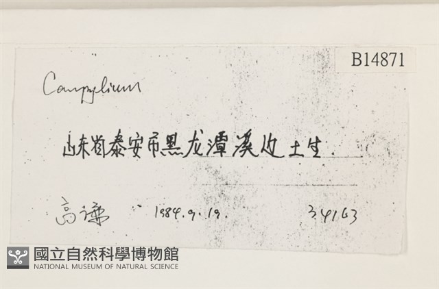 登錄號:B00014871藏品圖，第2張