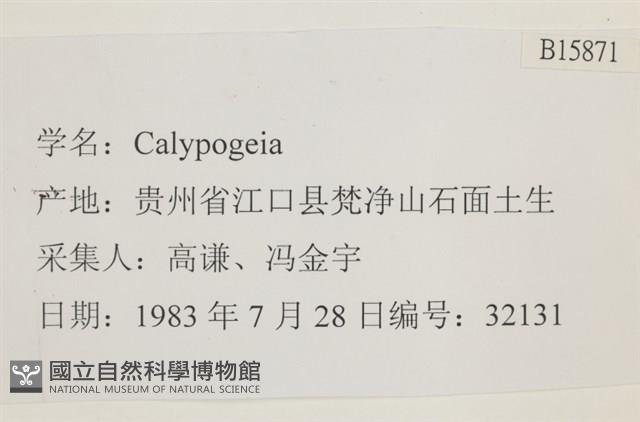 登錄號:B00015871藏品圖，第2張