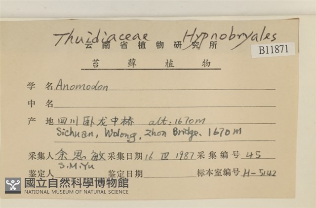 登錄號:B00011871藏品圖，第2張