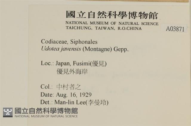 登錄號:A00003871藏品圖，第2張