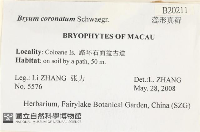 蕊形真蘚藏品圖，第2張