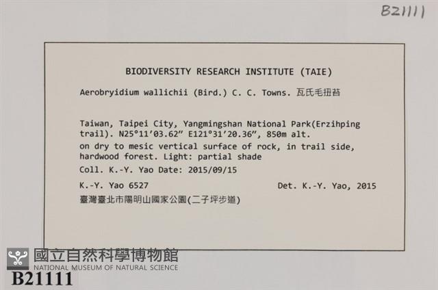 登錄號:B00021111藏品圖，第2張
